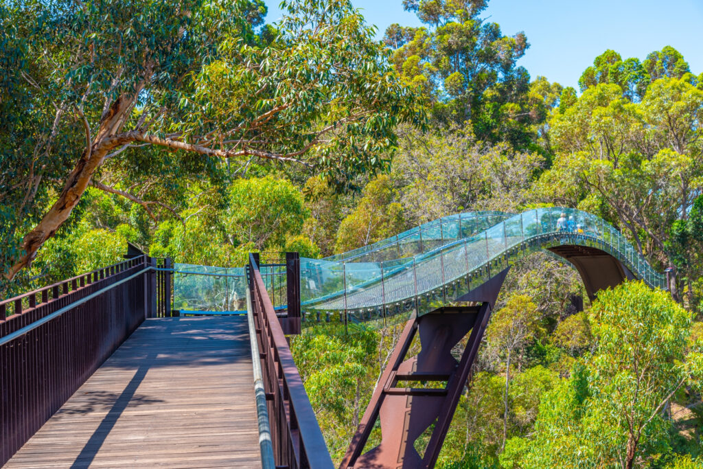 Federation Walkway at Kings park and botanic garden in Perth, Australia