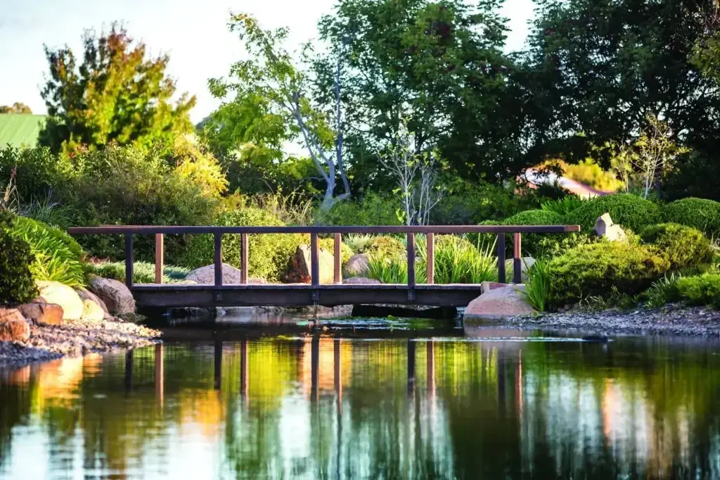 bridge over creek at dubbo regional botanical garden