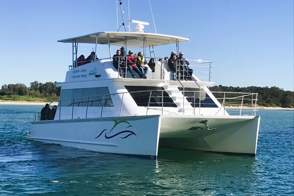 Fish and Chip River Cruise with Dolphin Spotting